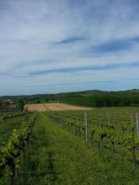 Podere Chiasso Gherardo Villa Peccioli Esterno foto