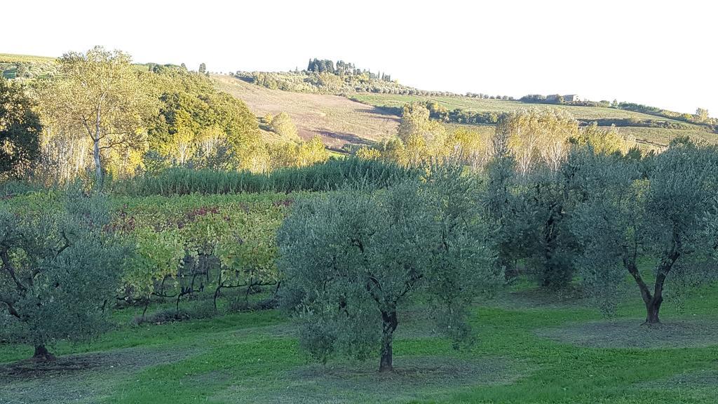 Podere Chiasso Gherardo Villa Peccioli Esterno foto