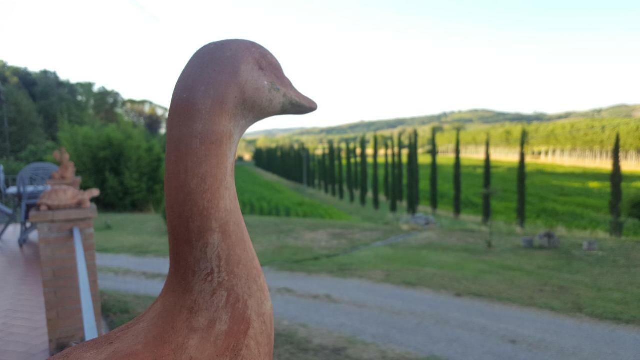 Podere Chiasso Gherardo Villa Peccioli Esterno foto