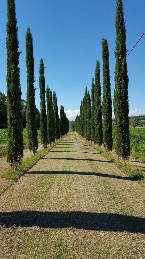 Podere Chiasso Gherardo Villa Peccioli Esterno foto