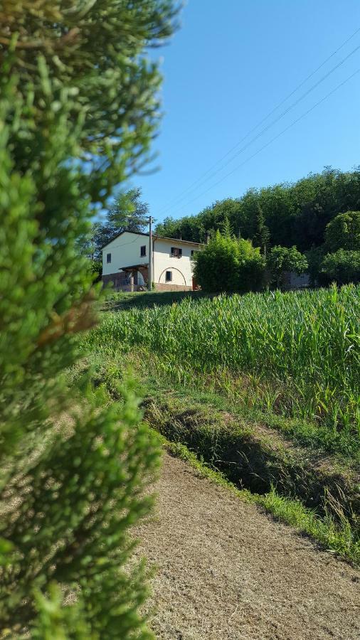 Podere Chiasso Gherardo Villa Peccioli Esterno foto