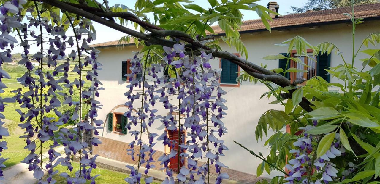 Podere Chiasso Gherardo Villa Peccioli Esterno foto